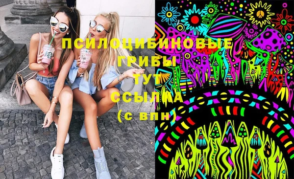 spice Билибино